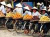 Experience Hanoi, Vietnam tour