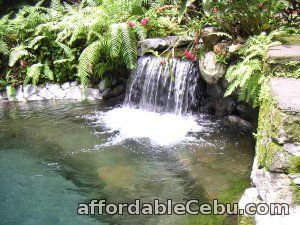 1st picture of Virgin Forest and Relaxation pools, at Hidden Valley Springs Laguna Offer in Cebu, Philippines