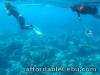 Indescribable reef, Bohol tour package