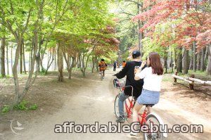 1st picture of Korea tour package - Nami Island, Winter Sonata location shoot Offer in Cebu, Philippines