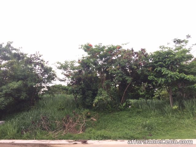1st picture of Ayala Greenfield Estates Prime Plus Lot for Sale For Sale in Cebu, Philippines