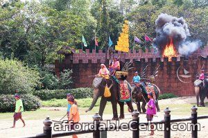 1st picture of Elephant show, Bangkok tour package Offer in Cebu, Philippines