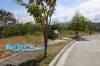 Lot Only For Sale Pristina North in Talamban Cebu