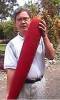 Avail Buah Merah Mix organic juice