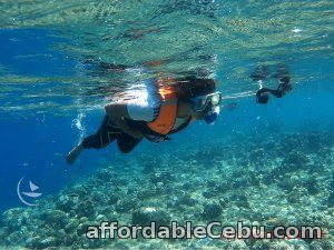 1st picture of Magnificent Sea Heaven, Bohol tour package Offer in Cebu, Philippines