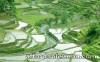 Banaue tour, widely known as UNESCO World Heritage site