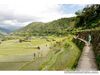 Banaue tour, awarded for its mountain ecology