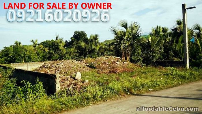 1st picture of LAND FOR SALE For Sale in Cebu, Philippines