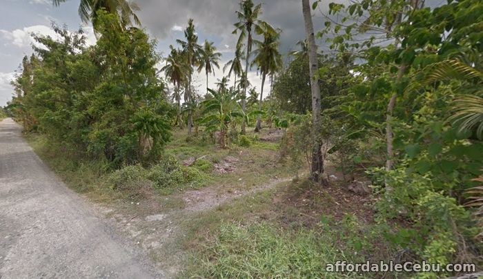 1st picture of For sale Agricultural property located in Panabo/Tagpore Davao, Davao City For Sale in Cebu, Philippines
