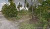 For sale Agricultural property located in Panabo/Tagpore Davao, Davao City