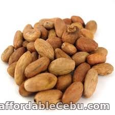 3rd picture of Cacao Beans in Cebu For Sale in Cebu, Philippines