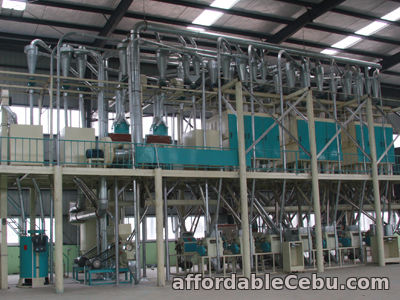 1st picture of High Yield Maize Milling Plant Cost For Sale in Cebu, Philippines