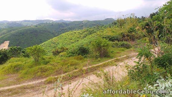 3rd picture of Lot at Penndave Manor 2 in Minglanilla,Cebu For Sale in Cebu, Philippines