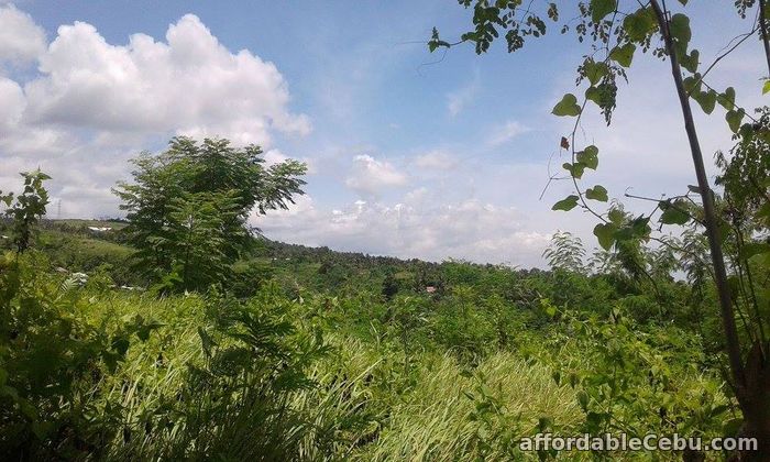 5th picture of Lot Only For Sale Eagles Vantage In Naga San Fernando Langtad For Sale in Cebu, Philippines