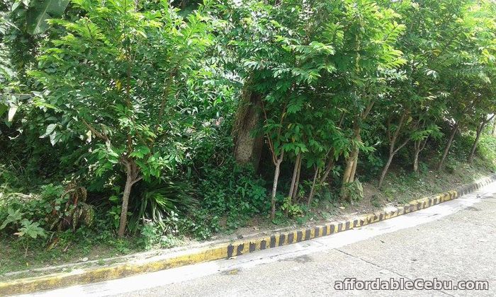 1st picture of Lot Only in Guadalupe Cebu City ST. Martin Subd. For Sale in Cebu, Philippines