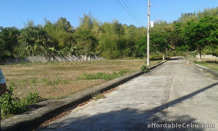 5th picture of Greenwoods Executive Subdivision For Sale in Cebu, Philippines