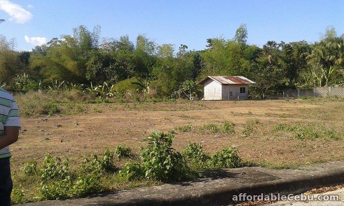 4th picture of Greenwoods Executive Subdivision For Sale in Cebu, Philippines