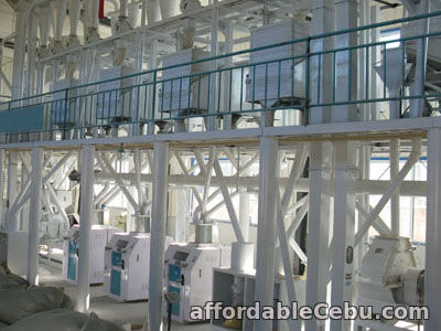 1st picture of Grain Processing Equipment Automatic Processing Plant For Sale in Cebu, Philippines