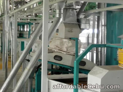 1st picture of Best Sold Grain Processing Equipment For Sale in Cebu, Philippines