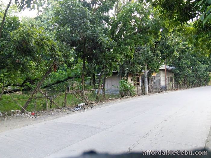 1st picture of Rush sale: Residential Lot Mahayahay, Bankal Lapu-Lapu City Cebu For Sale in Cebu, Philippines