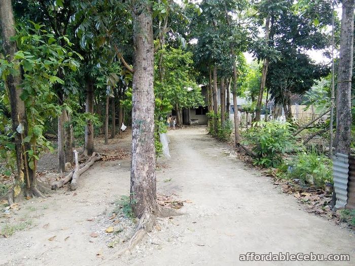 2nd picture of Rush sale: Residential Lot Mahayahay, Bankal Lapu-Lapu City Cebu For Sale in Cebu, Philippines