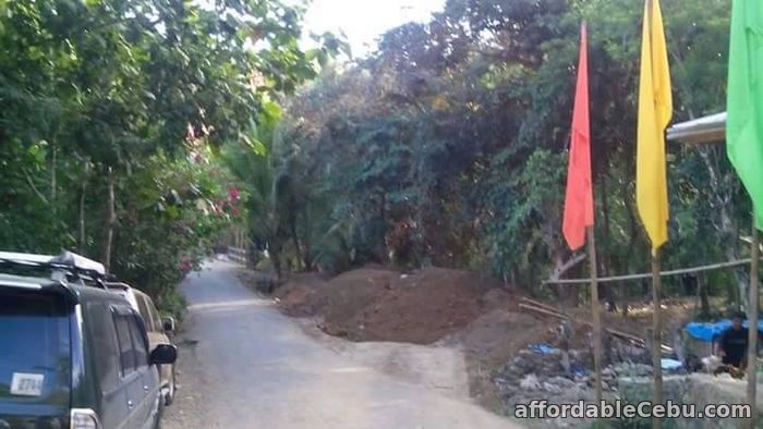 1st picture of Paradise Hill is a n affordable subdivision lot in Binaliw, Cebu For Sale in Cebu, Philippines