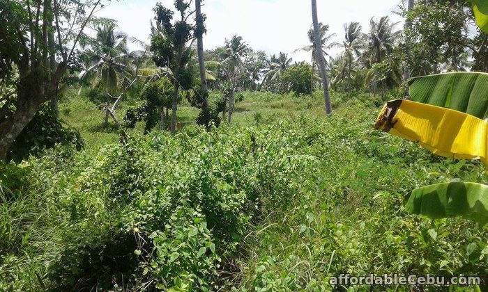 2nd picture of Lot Only For Sale Eagles Vantage In Naga San Fernando Langtad For Sale in Cebu, Philippines