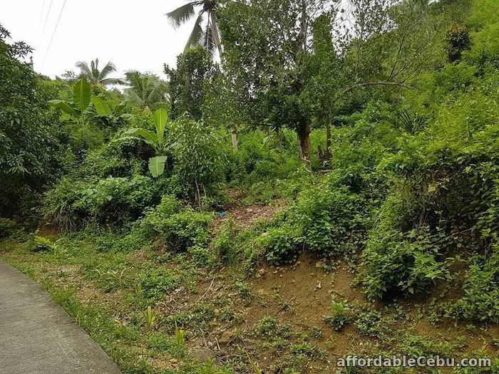 2nd picture of Lot only Subdivision Compostela Cebu price 2,800 For Sale in Cebu, Philippines