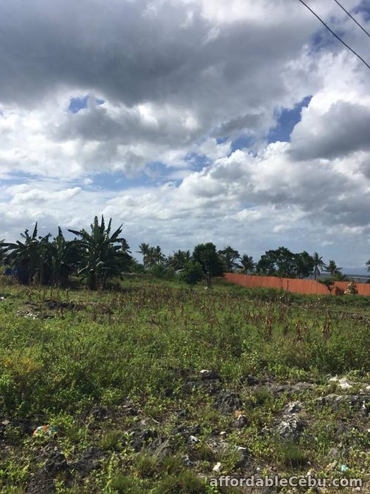Affordable Lot for Sale along Whitebeach Moalboal area For Sale