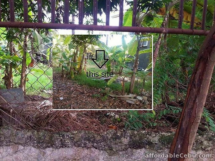 2nd picture of Residential Lot in Pajac Lapu-lapu City 933 sqm Clean Tittle For Sale in Cebu, Philippines