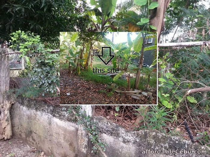 1st picture of Residential Lot in Pajac Lapu-lapu City 933 sqm Clean Tittle For Sale in Cebu, Philippines