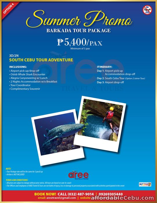 1st picture of SUMMER PROMO 2017 Offer in Cebu, Philippines