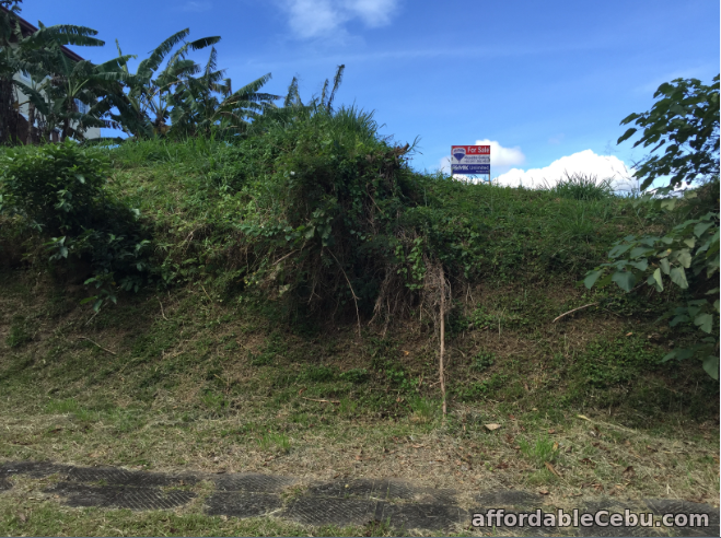 1st picture of AYALA GREENFIELD LOT FOR SALE For Sale in Cebu, Philippines