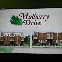 3rd picture of Mulberry Drive Subdivision located in San Jose Talamban, For Sale in Cebu, Philippines