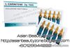 L-Carnitine 2g Fat Burning Injection