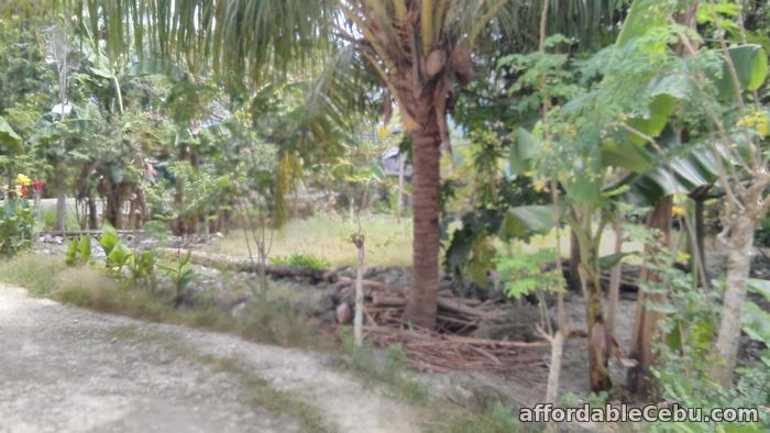 2nd picture of Titled lot in Sansville Subd rush sale.. Basak, Lapu-lapu City For Sale in Cebu, Philippines