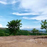 5th picture of PennDave Manor Gate 2 Lot only (5,500 per sqm) Tubod Minglanilla, For Sale in Cebu, Philippines