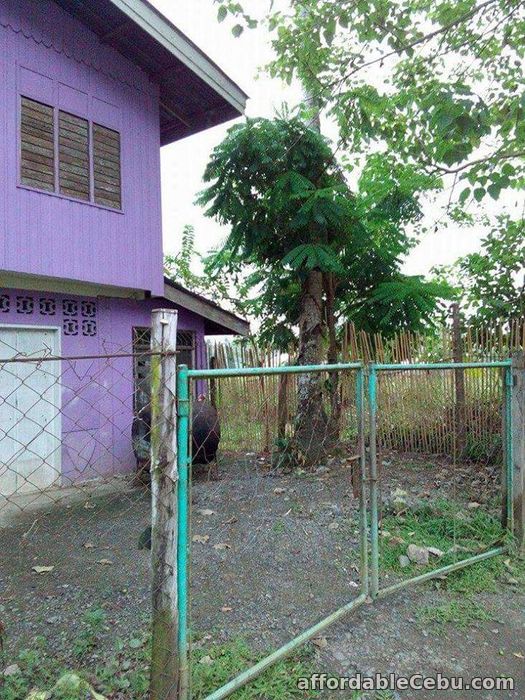 2nd picture of 1.2 M House & Lot For Sale In Palawan For Sale in Cebu, Philippines