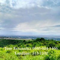 2nd picture of Lot only in Minglanilla For Sale in Cebu, Philippines