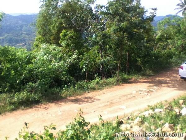 1st picture of Farmland for Sale For Sale in Cebu, Philippines