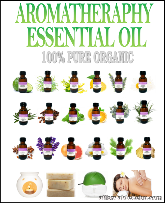 2nd picture of 100% PURE ESSENTIAL OIL WHOLESALE AND RETAIL For Sale in Cebu, Philippines