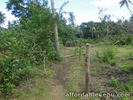 1st picture of Town lot Siaton Negros Oriental For Sale in Cebu, Philippines