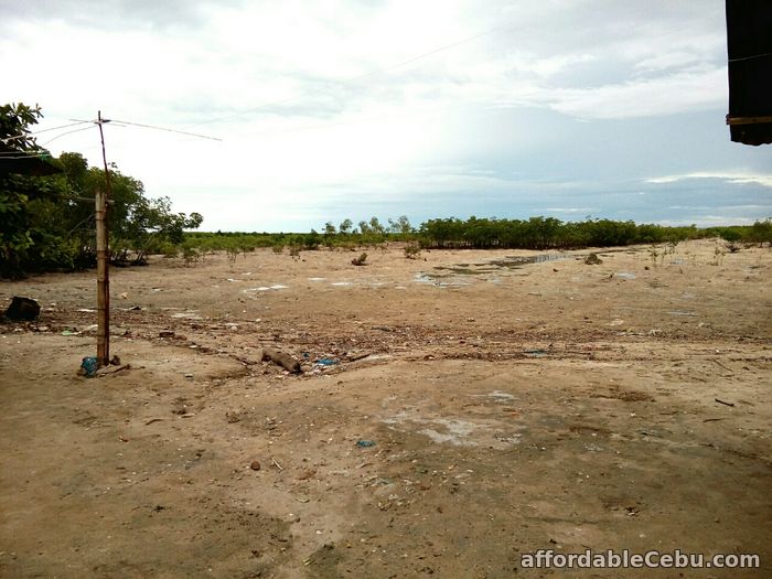 1st picture of For Sale 13,300+sq.m Beach Lot in Olango, Cebu For Sale in Cebu, Philippines