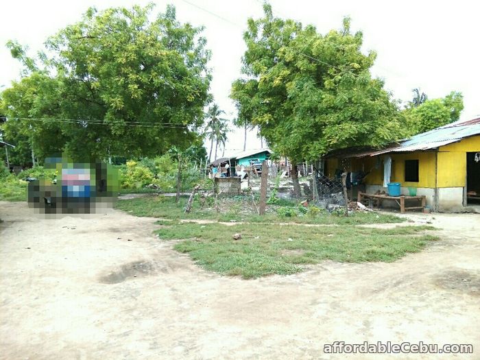 5th picture of For Sale 13,300+sq.m Beach Lot in Olango, Cebu For Sale in Cebu, Philippines