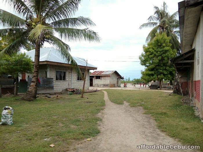 3rd picture of For Sale 13,300+sq.m Beach Lot in Olango, Cebu For Sale in Cebu, Philippines