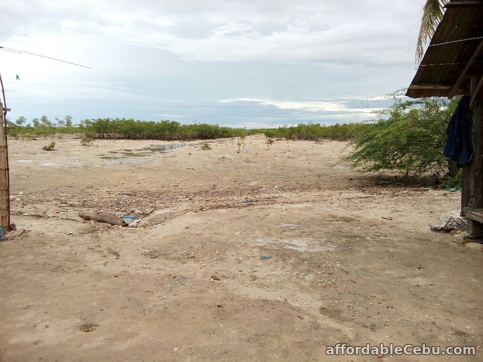 2nd picture of For Sale 13,300+sq.m Beach Lot in Olango, Cebu For Sale in Cebu, Philippines