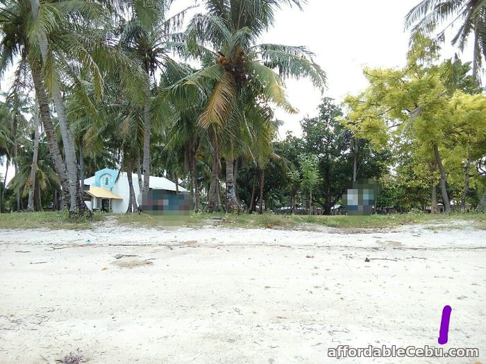 9400sqm Beach Lot with fully furnished concrete house in Olango, Cebu