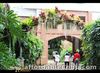 Covering Highlights, Davao tour packages - Davao City