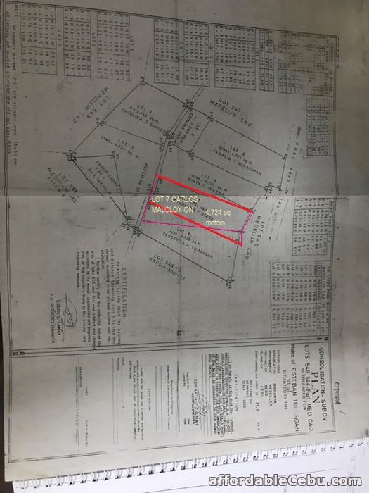 5th picture of Sacrifice Sale Of Lot Only Property In Medellin, Cebu For Sale in Cebu, Philippines