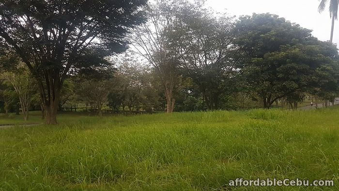 4th picture of FOR SALE: Montecito Lot For Sale in Cebu, Philippines